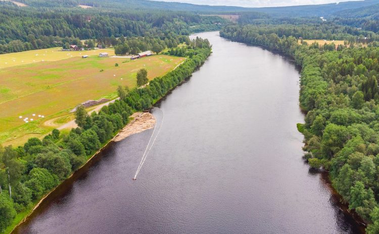En luftbild visar Klarälvens breda vatten och meanderns lopp. Vid vänstra stranden syns länsfickan i Björkebo som samla in stockar när flottarna har rivits. Länsen är nästan till hälften fylld med stockar.