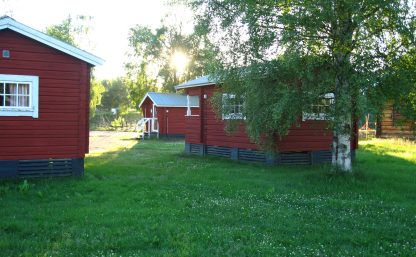 Röda timmerstugor med vita fönster. En av dem skyms bakom en björk som är full av friska gröna blad. Gräsmattan ligger i skugga men i bakgrunden syns kraftig solsken. Stugorna står på Klarälvens Camping.