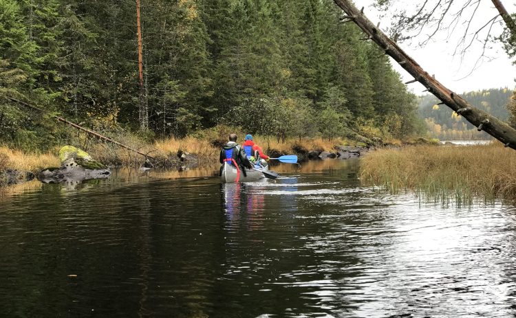 I en kanot paddlar två personer i ett mycket smalt parti på Svartälven. Himlen hänger grått, det verkar ha regnat till alldeles nyligen.