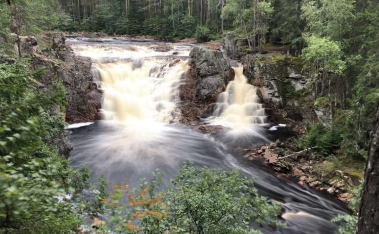 Bilden visar Halgåns imponerande vattenfall Brattfallet. Vit skummande rusar vattnet ner för stupet och breder ut sich i bassängen under. Stora klippor begränsar fallet, längre bort börjar skogen.