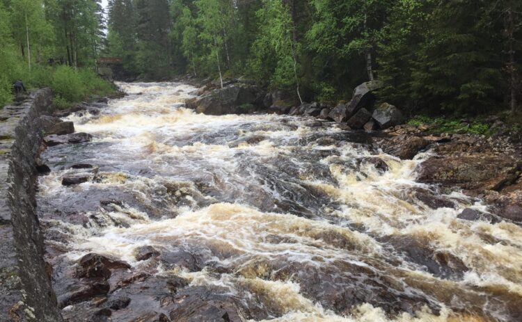 Ett vattenfall präglar hela bilden. Vattnet skummar ljusbrunt över den steniga älvfåran genom skogen. Det är Femtåns vattenfall som senare rinner som ett biflöde in i Klarälven.