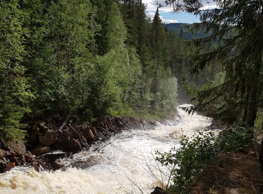 Ett vattenfall brusar med stor kraft genom en skog. Där marken är utan växtlighet syns stora stenklippor. Vattnet skummar vitt. Det är vattenfallet i Klarälvens biflöde Femtån.