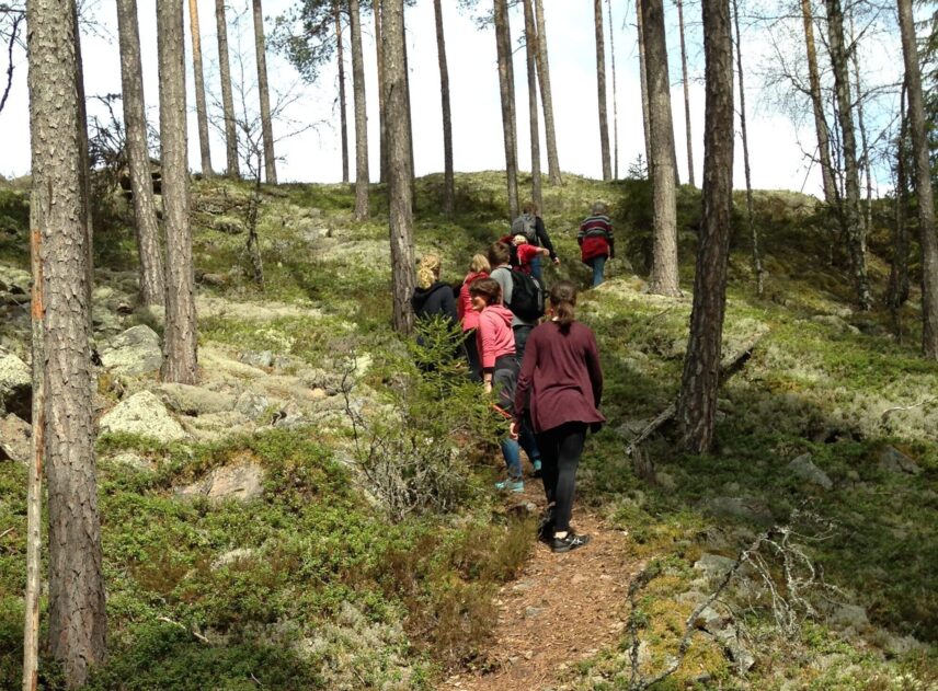 En grupp människor vandrar på en stig i en gles skog. Marken täcks av ris och mossa. Människorna rör sig uppåt och vandrar sakta bort från fotografen.